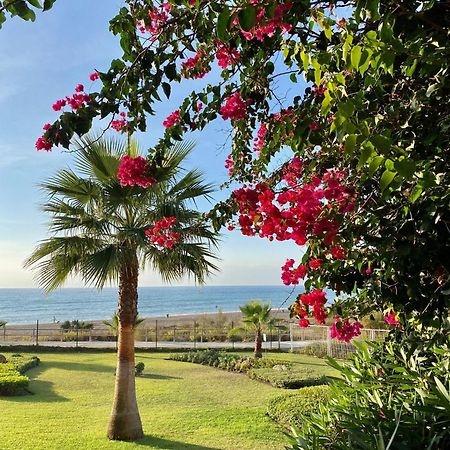 Sunshine Beach Front Complex, Wifi, Modern Casares Luaran gambar