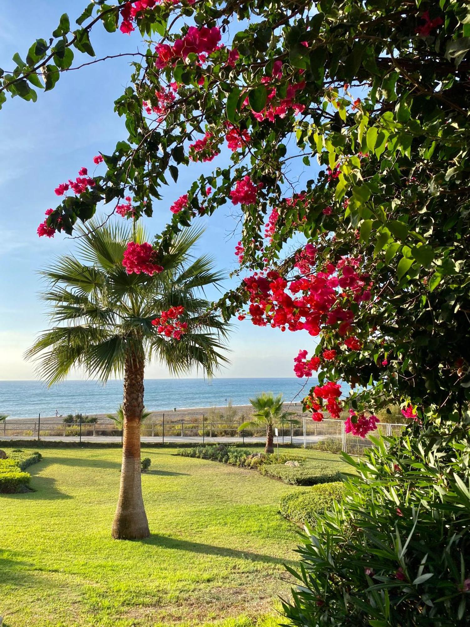 Sunshine Beach Front Complex, Wifi, Modern Casares Luaran gambar